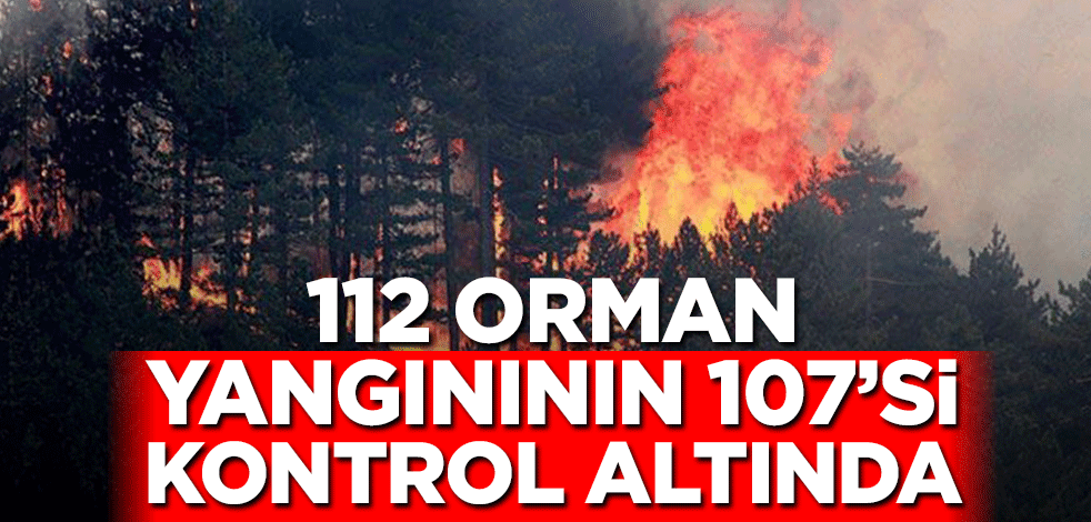 112 orman yangınının 107'si kontrol altında