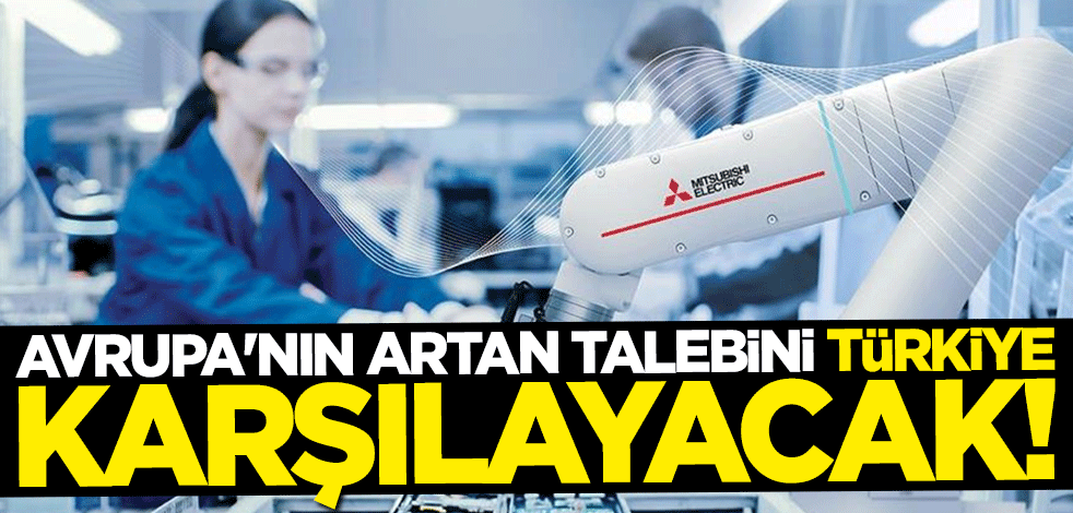 113 milyon dolarlık dev hamle! Avrupa'nın artan talebini Türkiye karşılayacak