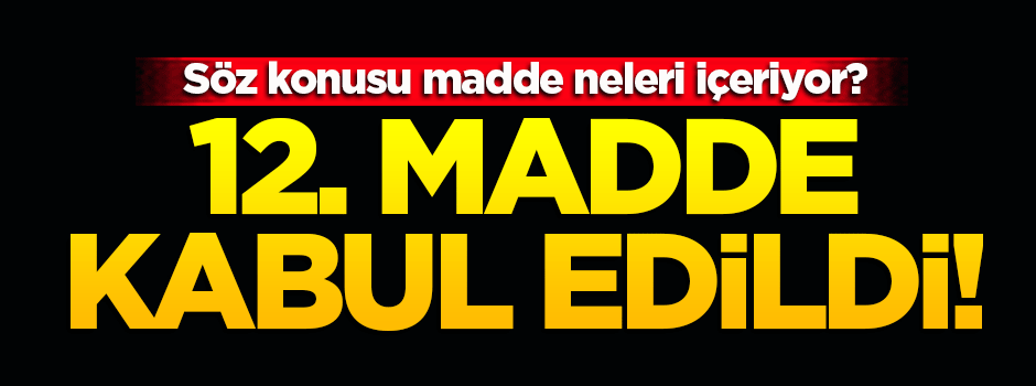 12. madde kabul edildi!