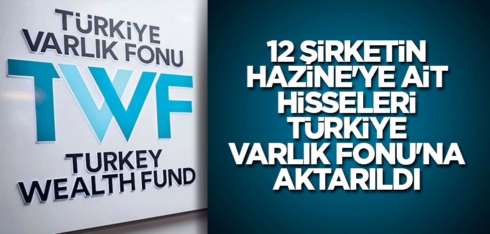 12 şirketin Hazine'ye ait hisseleri Türkiye Varlık Fonu'na aktarıldı