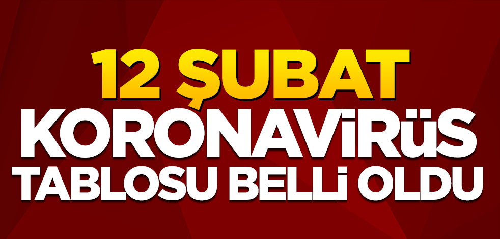 12 Şubat koronavirüs tablosu belli oldu! İşte vaka sayısı, can kaybı...