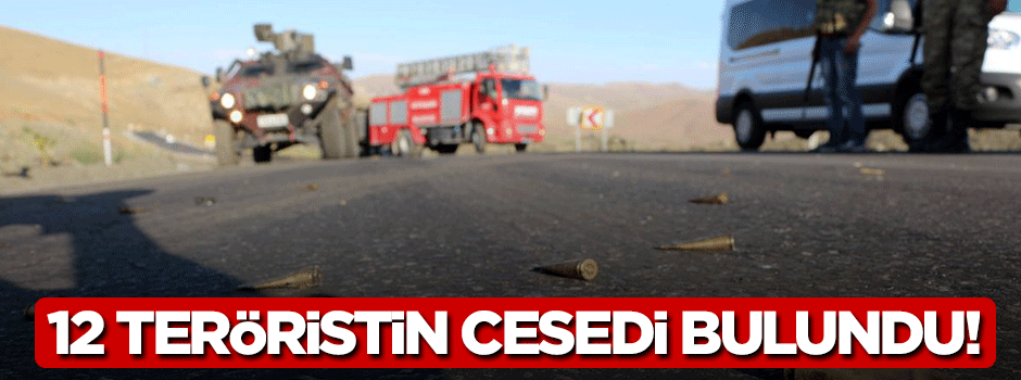 12 teröristin cesedi ele geçirildi!