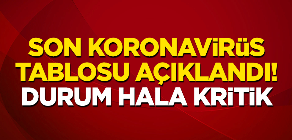 13 Nisan koronavirüs tablosu açıklandı!