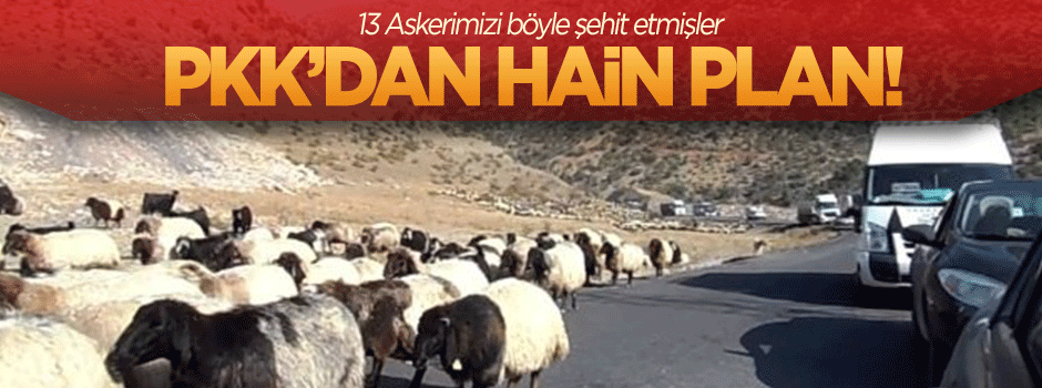 13 polisimizi böyle şehit etmişler