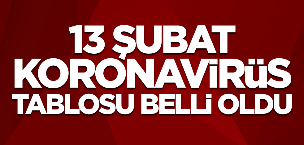 13 Şubat koronavirüs tablosu belli oldu! İşte vaka sayısı, can kaybı...