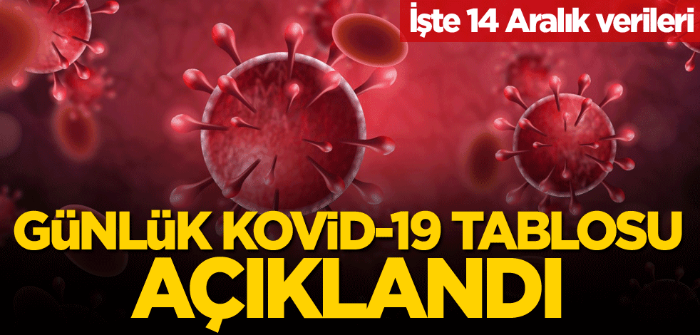 14 Aralık vaka sayısı açıklandı