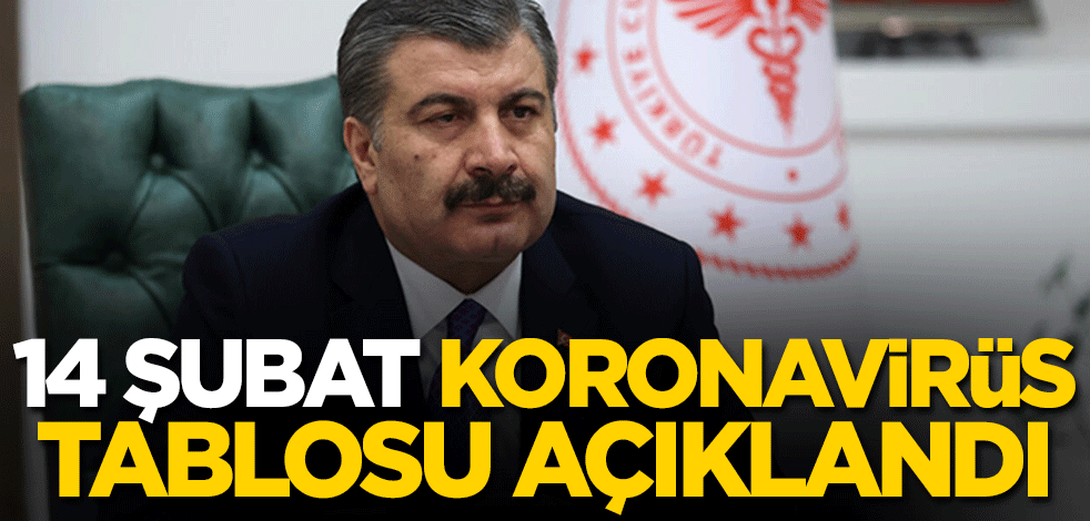 14 Şubat koronavirüs tablosu açıklandı