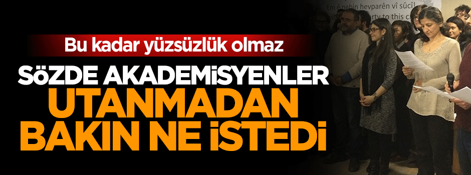 15 akademisyen devletten koruma istedi