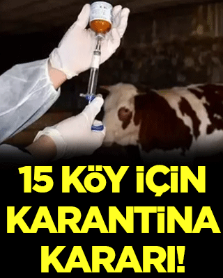 15 köy için karantina kararı!