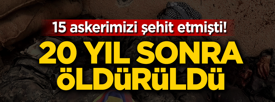 15 şehidimizin intikamı alındı