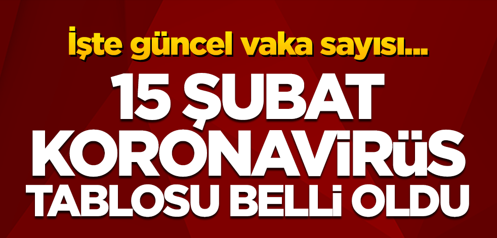 15 Şubat koronavirüs tablosu belli oldu! İşte vaka sayısı ve can kaybı