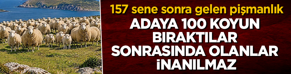 157 sene sonra gelen pişmanlık! Adaya 100 koyun bıraktılar, sonrasında olanlar inanılmaz