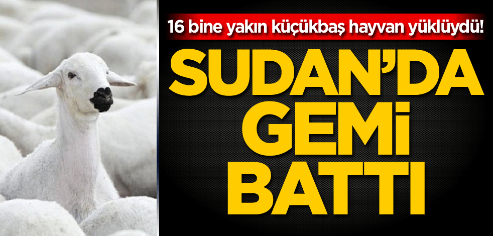 16 bine yakın küçükbaş hayvan yüklüydü! Sudan'da gemi battı