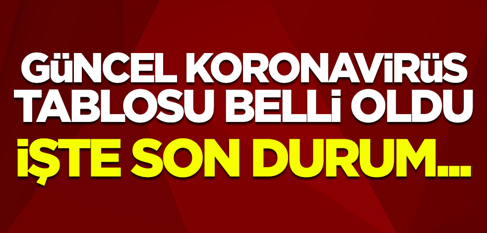 16 Şubat koronavirüs tablosu belli oldu! İşte vaka sayısı, can kaybı...