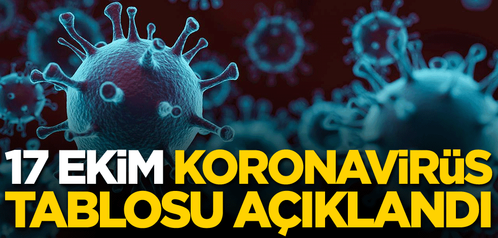 17 Ekim koronavirüs tablosu açıklandı