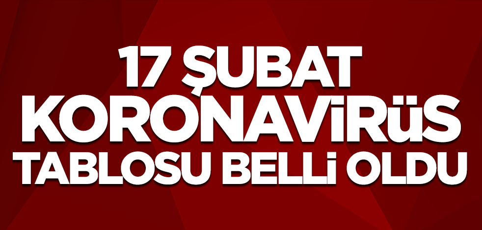 17 Şubat koronavirüs tablosu belli oldu! İşte can kaybı ve vaka sayısı...