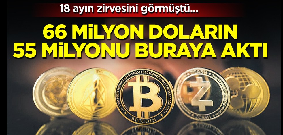  18 ayın zirvesini görmüştü! 66 milyon doların 55 milyonu buraya aktı