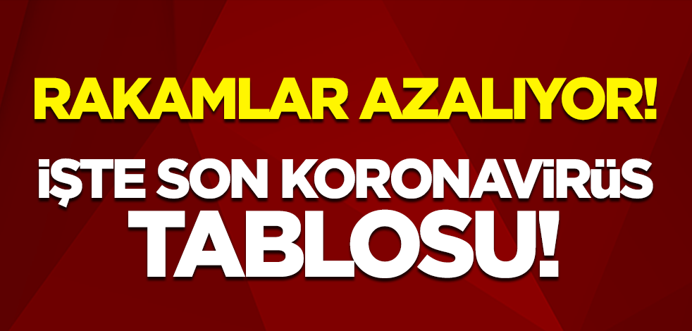 18 Ocak koronavirüs tablosu! İşte vaka sayısı ve can kaybı