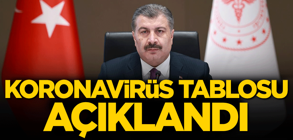 18 Şubat koronavirüs tablosu açıklandı