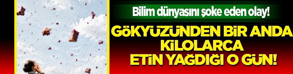 1876 yılından bugüne: Bilim dünyasını şoke eden olay! Gökyüzünden bir anda kilolarca etin yağdığı o gün!