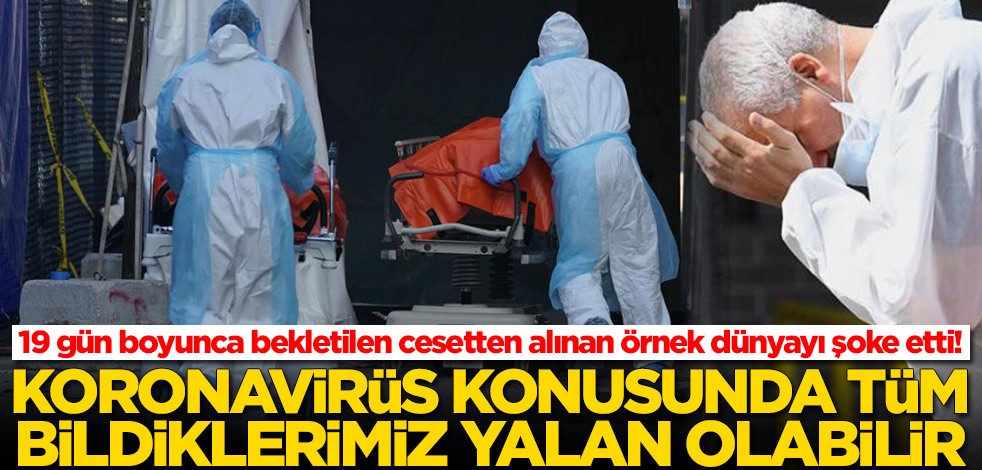 ABD'de şoke eden koronavirüs gelişmesi! 19 gün boyunca bekletilen cesetten alınan örnek şaşkına çevirdi