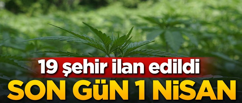 19 il ilan edildi! Son başvuru 1 Nisan