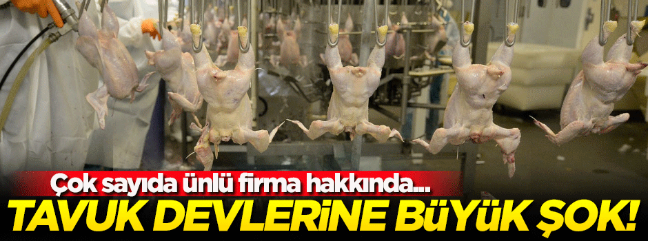 19 tavuk devine soruşturma şoku! İşte o firmalar...