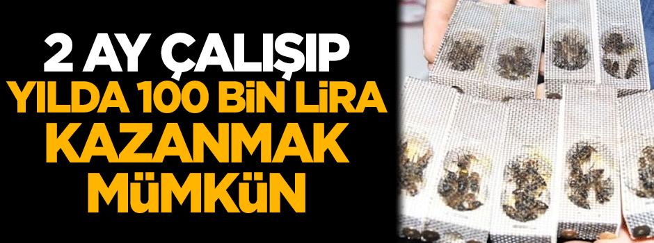 2 ay çalışıp yılda 100 bin lira kazanmak mümkün