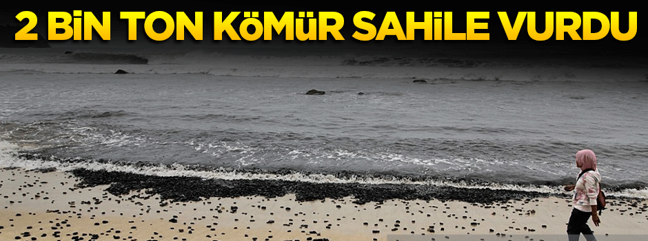 2 bin ton kömür sahile vurdu