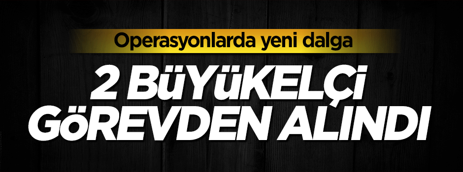 2 büyükelçinin görevine son verildi