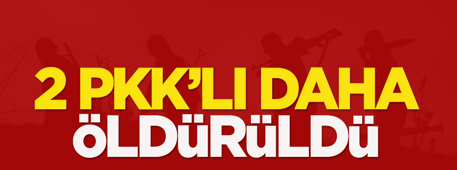 2 PKK'lı daha öldürüldü