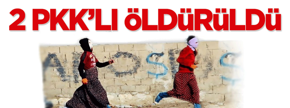 2 PKK'lı öldürüldü