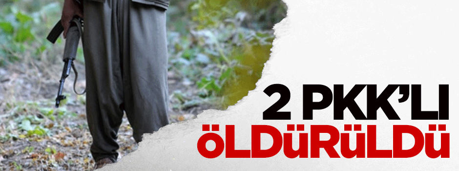 2 PKK'lı öldürüldü