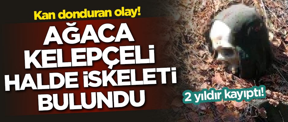 2 yıldır kayıptı! Ağaca kelepçeli halde iskeleti bulundu