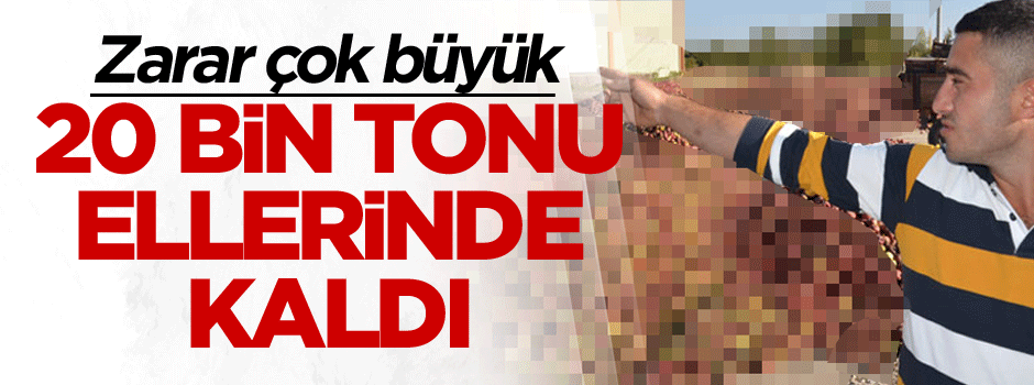20 bin tonu ellerinde kaldı... Zarar çok büyük