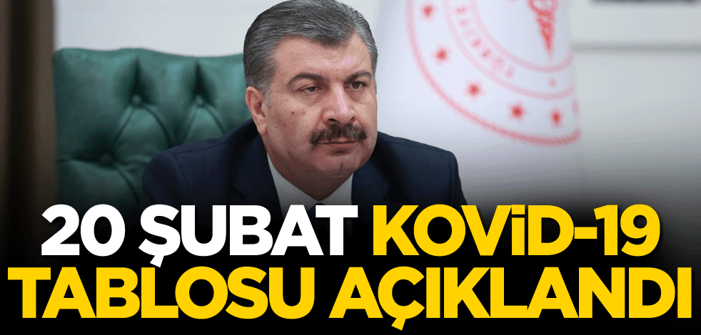 20 Şubat koronavirüs tablosu açıklandı