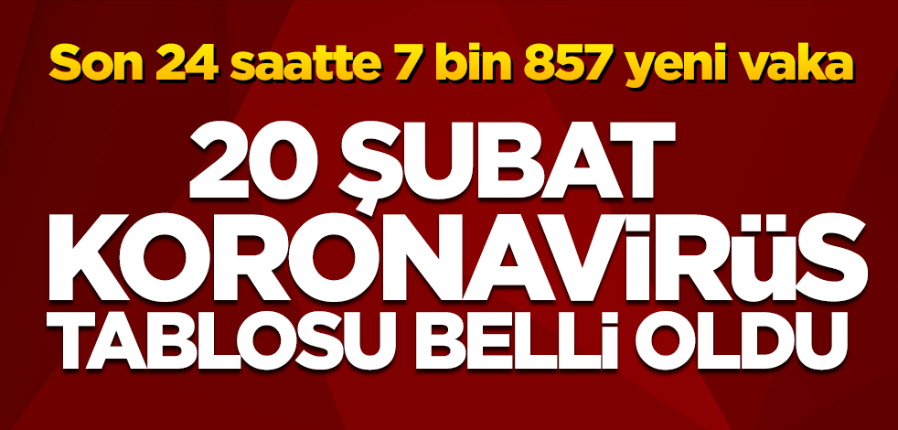 20 Şubat koronavirüs tablosu belli oldu