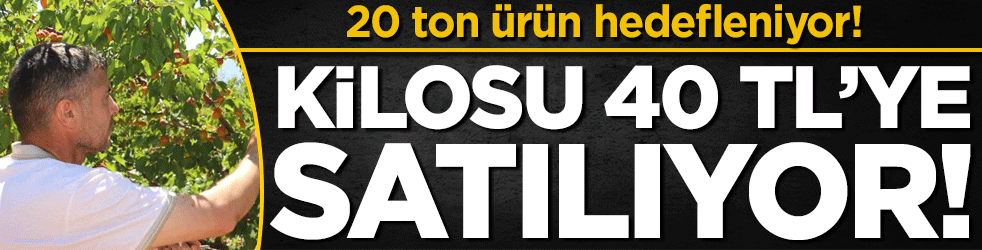 20 ton ürün hedefleniyor! Kilosu 40 TL'den satılıyor!