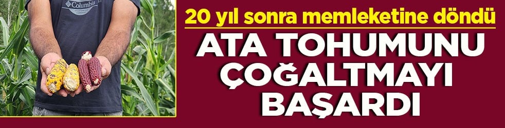 20 yıl sonra memleketine döndü Ata tohumunu çoğaltmayı başardı