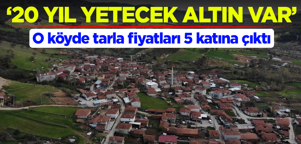"20 yıl yetecek altın var" O köyde tarla fiyatları 5 katına çıktı