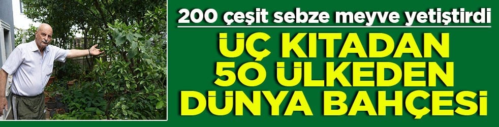 200 çeşit sebze meyve yetiştirdi Üç kıtadan 50 ülkeden dünya bahçesi