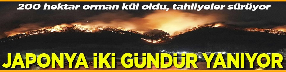 200 hektar orman kül oldu, tahliyeler sürüyor Japonya iki gündür yanıyor
