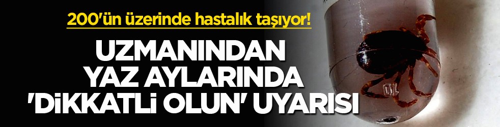 200'ün üzerinde hastalık taşıyor! Uzmanından yaz aylarında 'dikkatli olun' uyarısı
