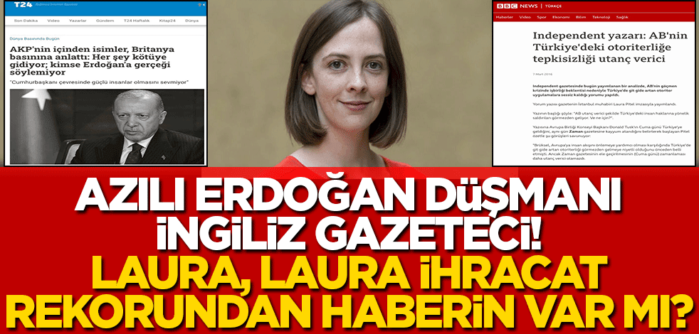 2016'da 'darbe'yi meşrulaştırmaya çalıştı! İngiliz gazeteci Erdoğan'ı olmayan kriz üzerinden hedef aldı