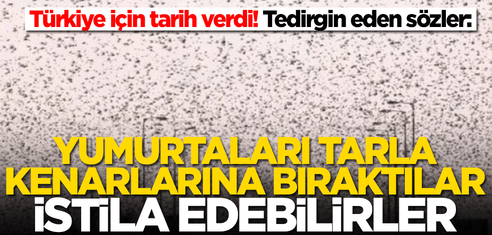 2021'de Türkiye için çekirge istilası uyarısı! 'Tarla kenarlarına yumurtalarını bıraktılar'