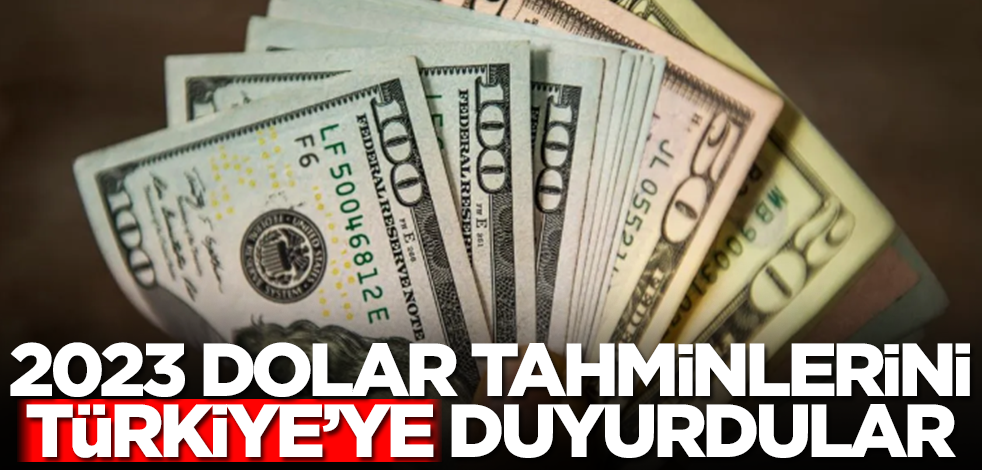 2023 dolar tahminlerini Türkiye'ye duyurdular! 15 lira...