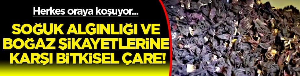 2026 Sonbahar mevsiminde bu çay öne çıkıyor: Kışın şifası için aktarların yolu tutuldu! İşte en sağlıklı çay 