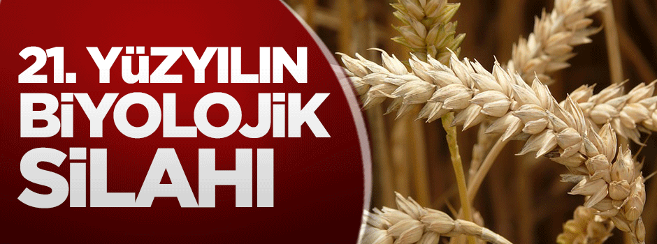 21. yüzyılın biyolojik silahı buğday
