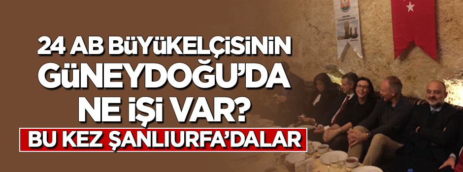 24 AB büyükelçisi Güneydoğu'da ne yapıyor? Bu kez Şanlıurfa'dalar
