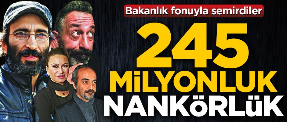 245 milyonluk nankörlük